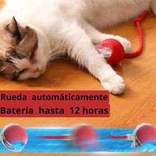 Cargar imagen en el visor de la galería, Carga fácil y diversión infinita (1).jpg
